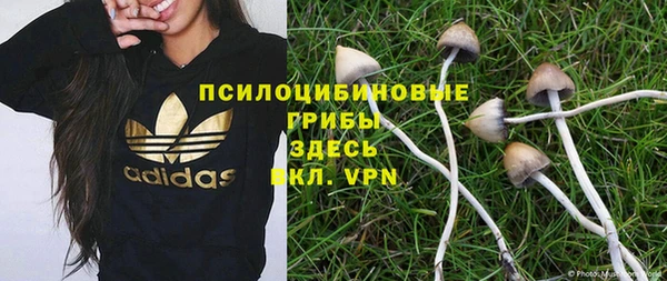 a pvp Алексин