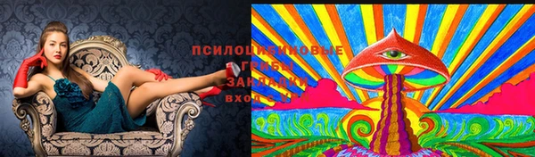 a pvp Алексин