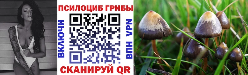 Галлюциногенные грибы мицелий  где можно купить   Нюрба 